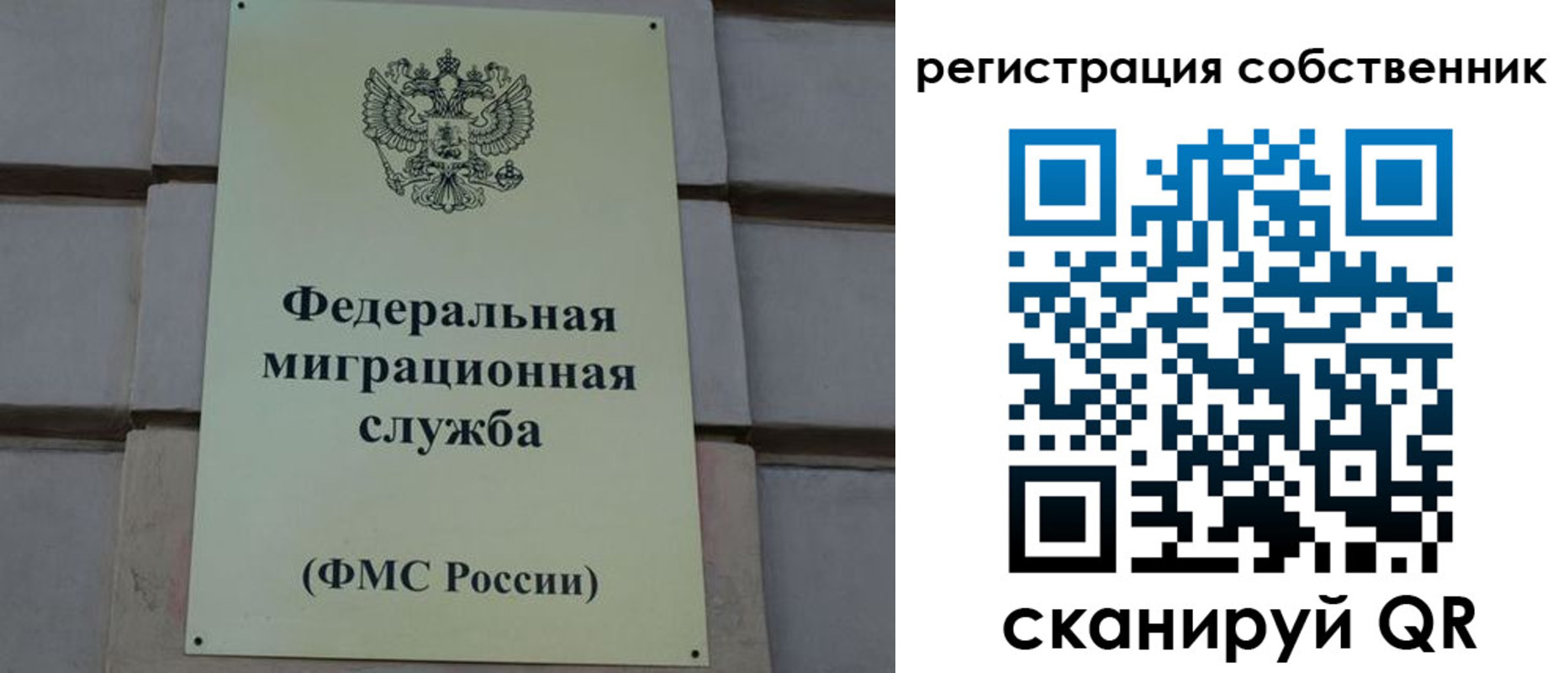 прописка гарантия в Димитровграде